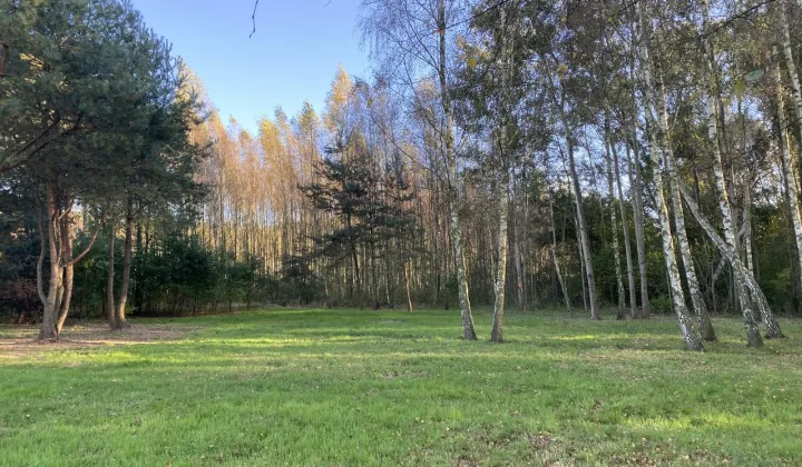 Działka rolno-budowlana Marylka, ul. Dębowa