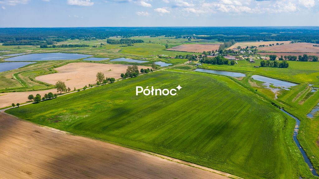 Działka rolna Waliły. Zdjęcie 6