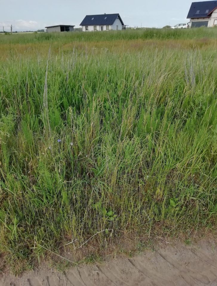 Działka budowlana Wirwilty. Zdjęcie 4