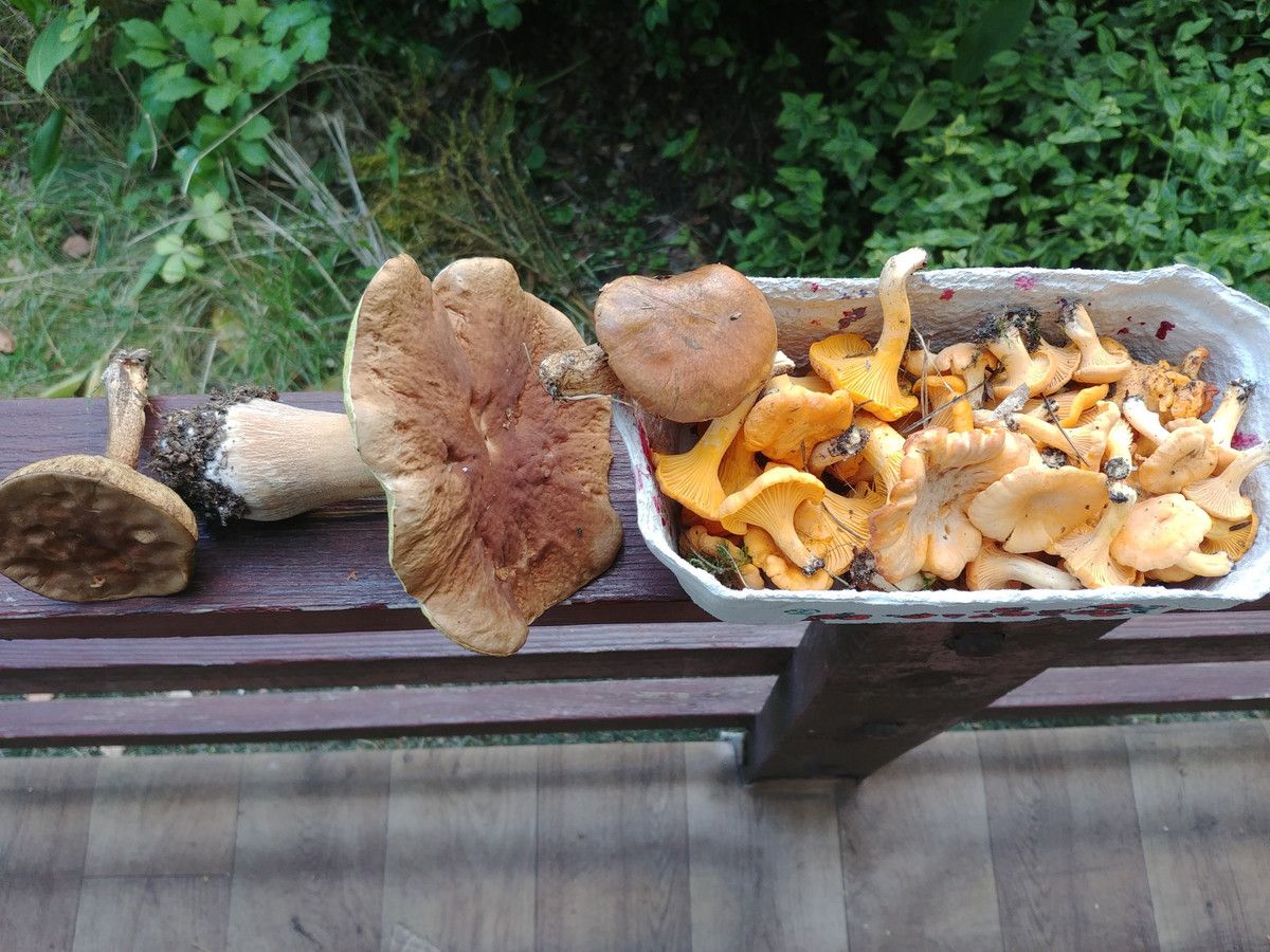 Działka budowlana Zofiówka, ul. Cienista. Zdjęcie 28