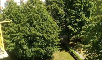 Mieszkanie 2-pokojowe Kędzierzyn-Koźle Blachownia Śląska, ul. Pionierów