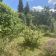 Działka rod Chyliczki. Zdjęcie 8