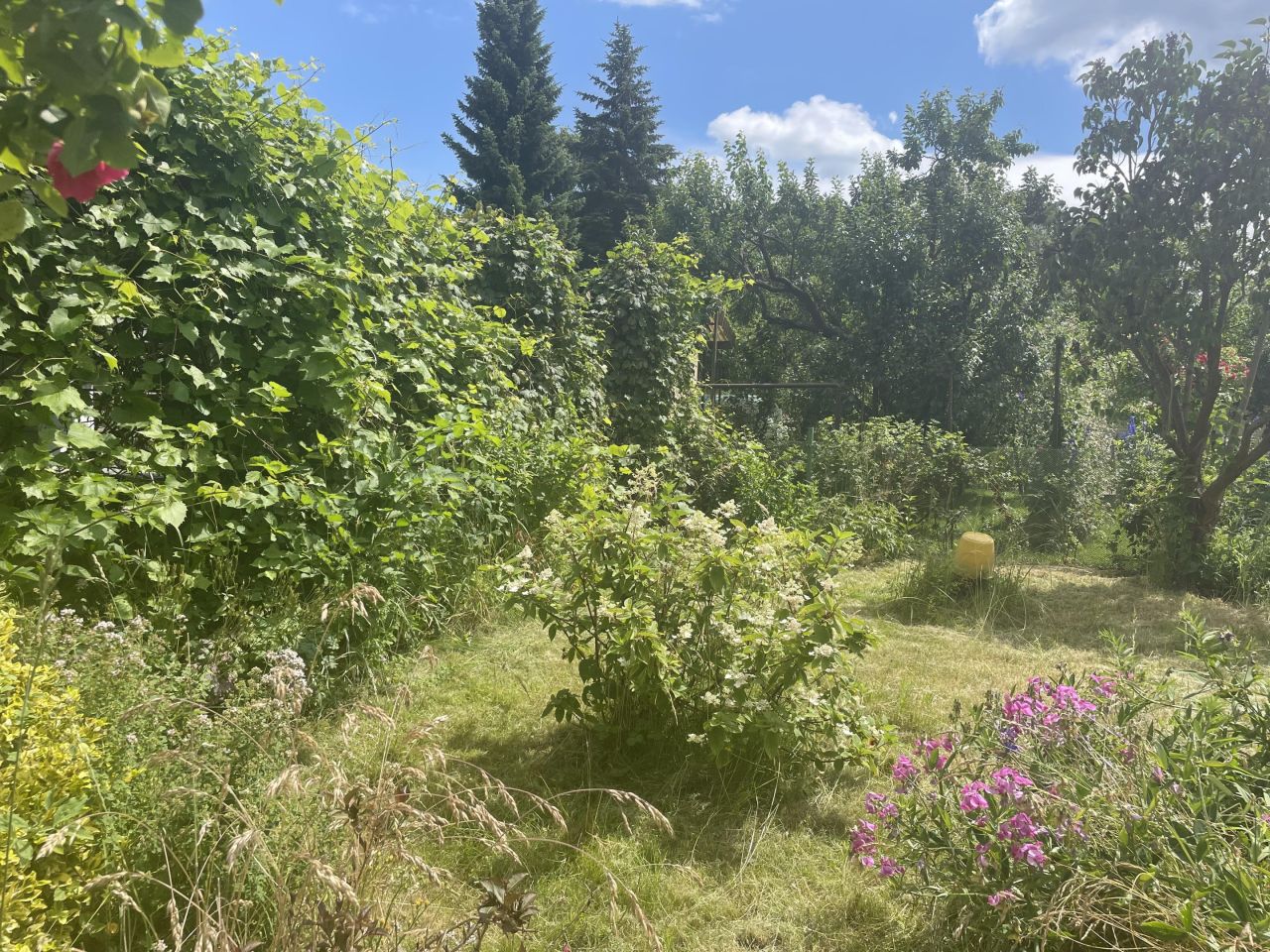 Działka rod Chyliczki. Zdjęcie 8