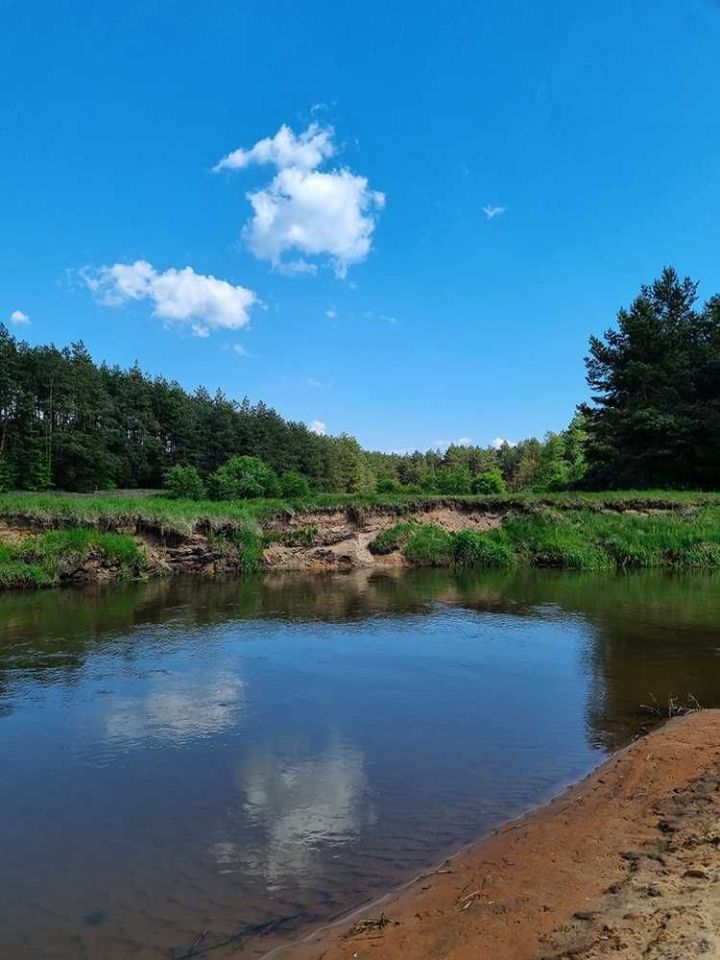 Działka Rogożek. Zdjęcie 3