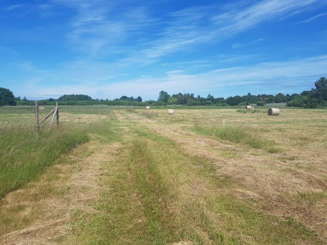 Działka budowlana Sarbsk, Sarbsk. Zdjęcie 17