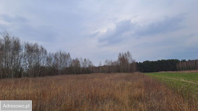 Działka rolno-budowlana Kąck, ul. Myśliwska. Zdjęcie 1