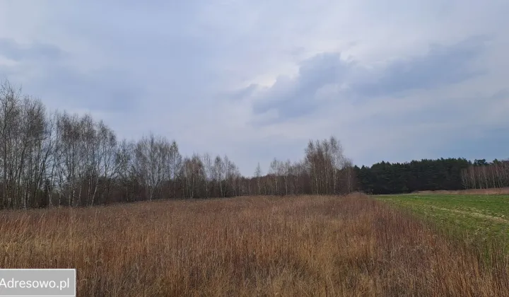 Działka rolno-budowlana Kąck, ul. Myśliwska