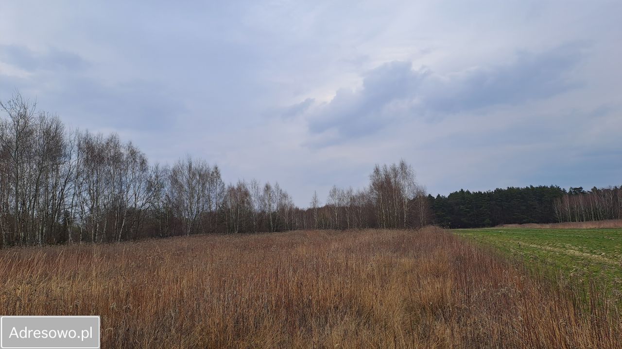 Działka rolno-budowlana Kąck, ul. Myśliwska. Zdjęcie 1