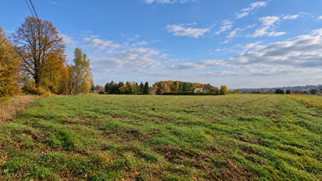 Działka rolno-budowlana Wójtowa. Zdjęcie 3