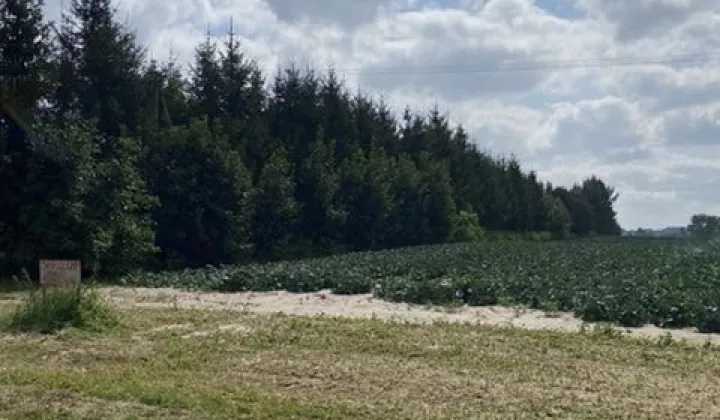 Działka budowlana Tomaszowice-Kolonia