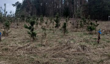 Działka budowlana Cierzpięty
