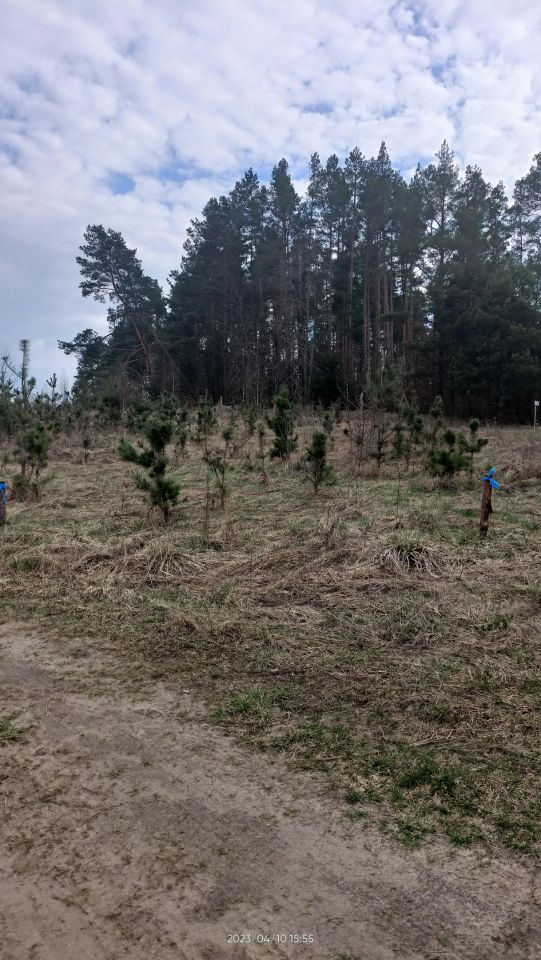 Działka budowlana Cierzpięty