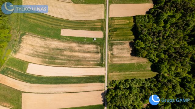 Działka Lipnica Dolna. Zdjęcie 8