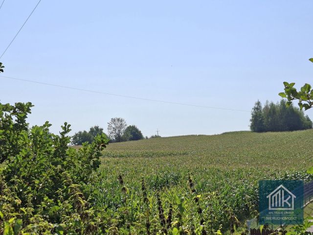 Działka budowlana Bodzanów. Zdjęcie 12