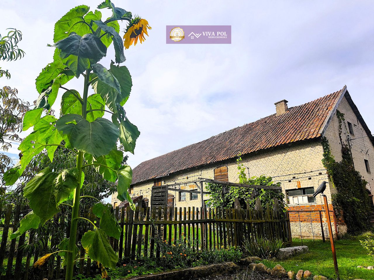 dom wolnostojący, 4 pokoje Prusinowo. Zdjęcie 6