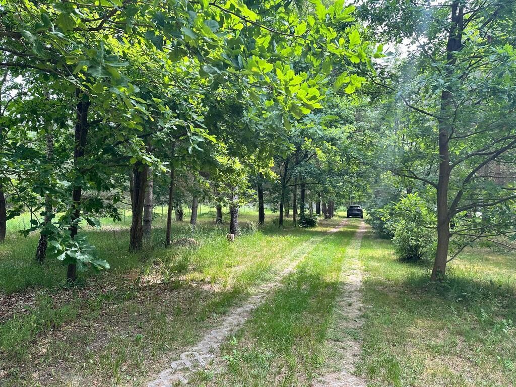 Działka budowlana Złotokłos. Zdjęcie 7