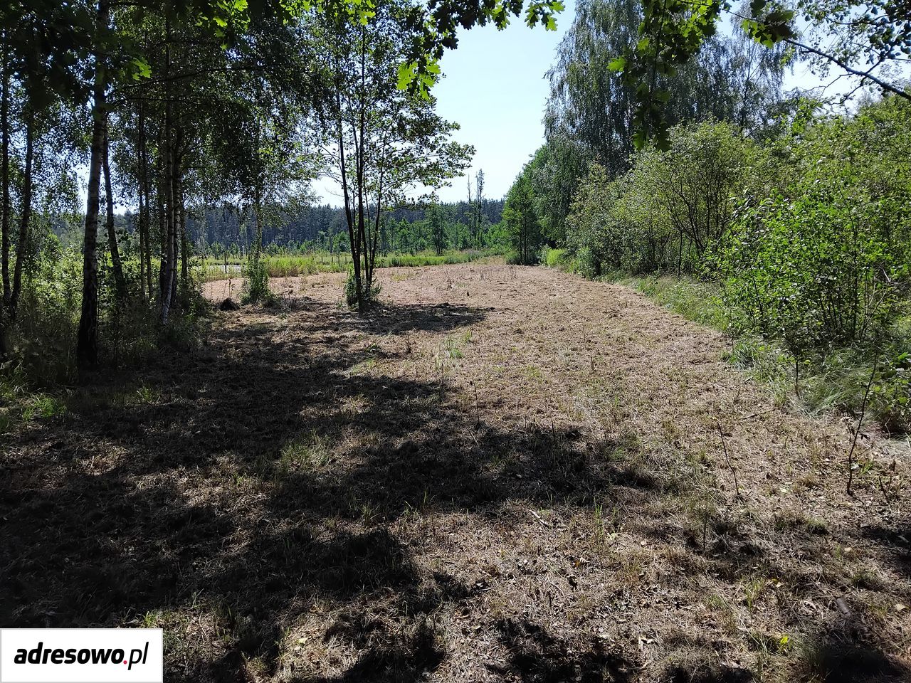 Działka budowlana Barcząca. Zdjęcie 2