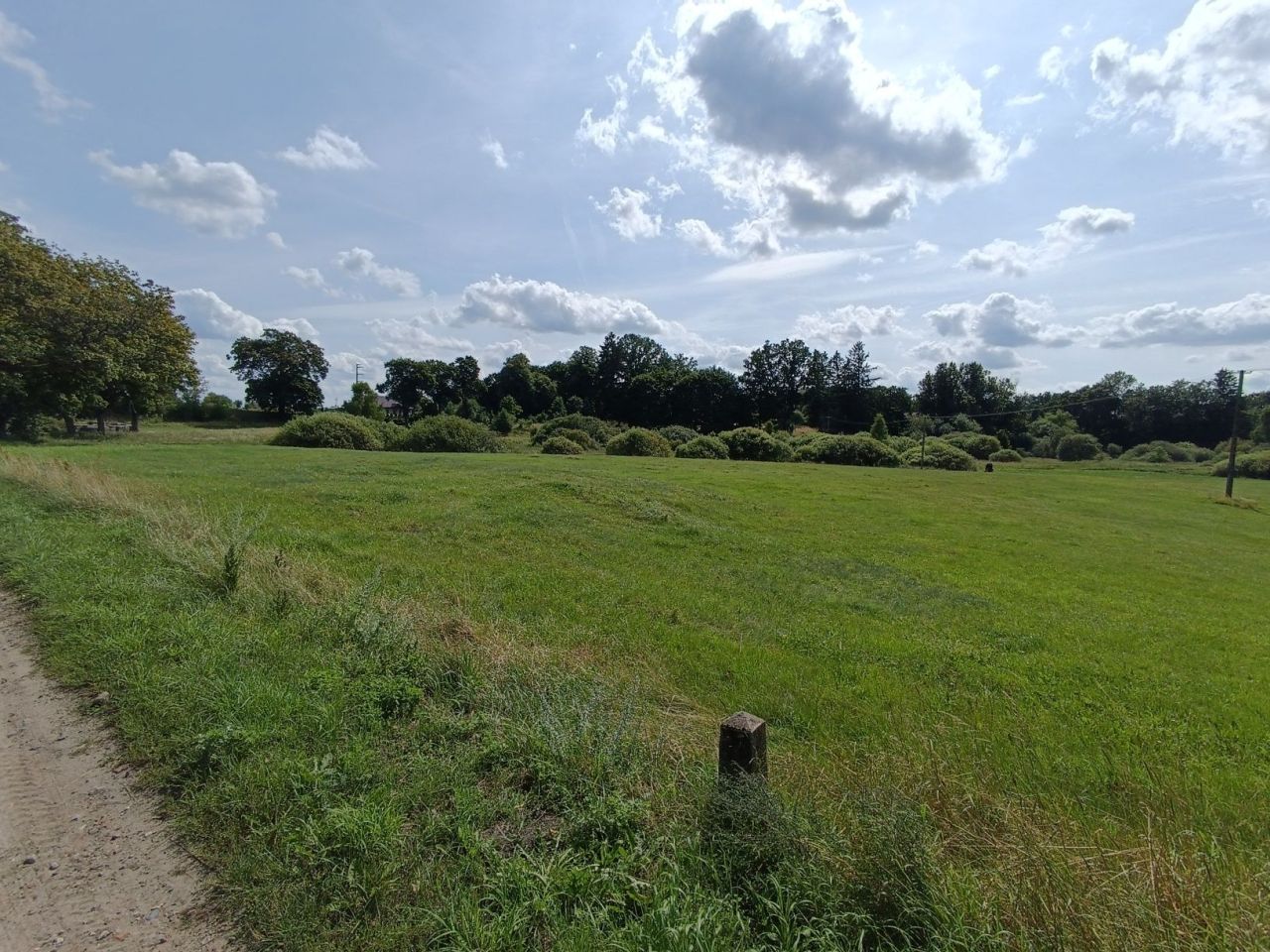 Działka rolna Pławno. Zdjęcie 6