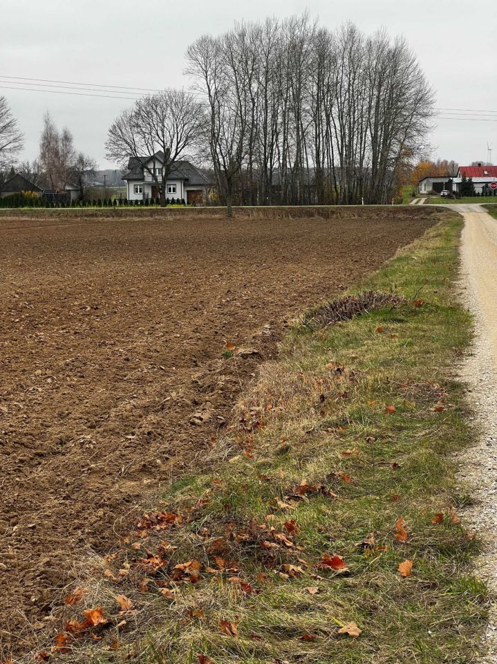 gospodarstwo Harasimowicze. Zdjęcie 6