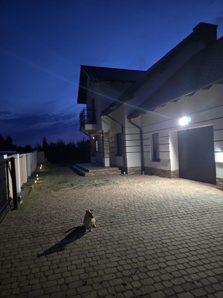 dom wolnostojący, 6 pokoi Dębno, ul. Chojeńska. Zdjęcie 3