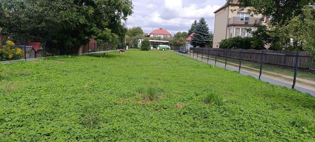Działka budowlana Widowo. Zdjęcie 2
