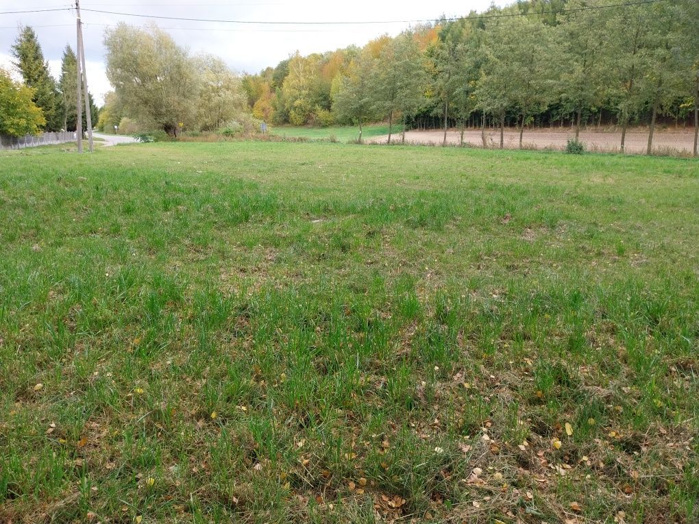 Działka budowlana Przybysławice. Zdjęcie 4