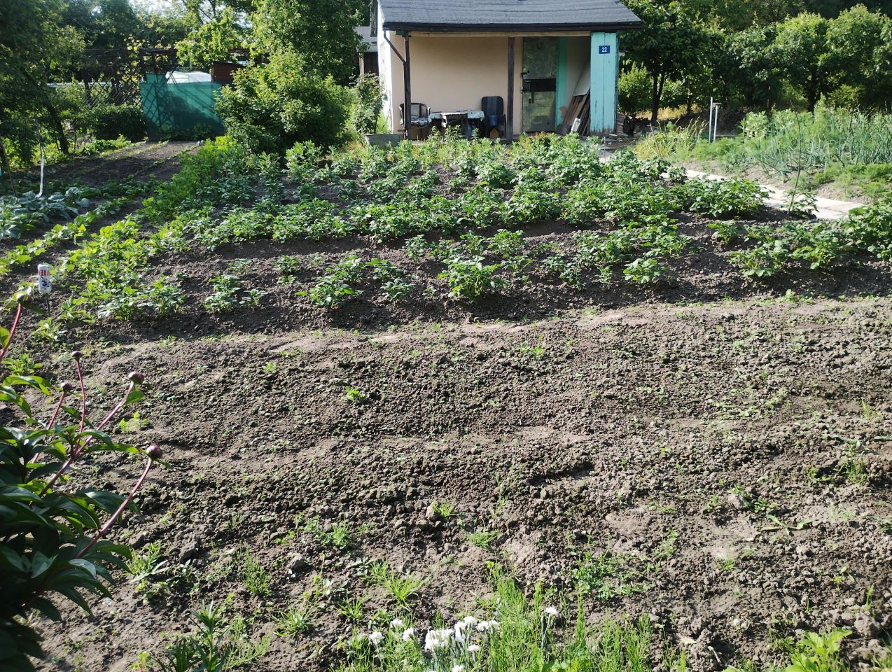 Działka rod Zamość Zamczysko, ul. Żdanowska. Zdjęcie 10