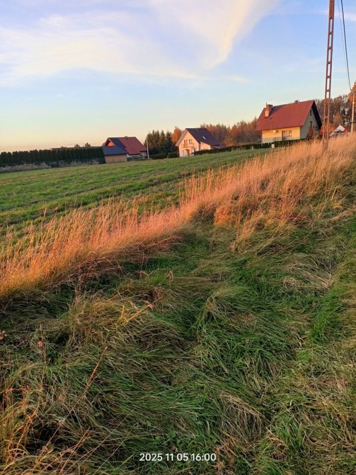 Działka budowlana Osiek. Zdjęcie 4