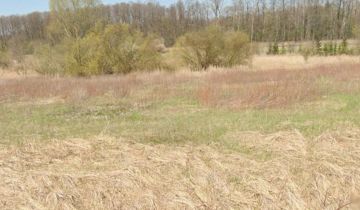 Działka budowlana Opole Lubelskie, ul. Pomorska