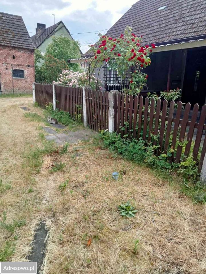 gospodarstwo, 3 pokoje Goszczanowo. Zdjęcie 12