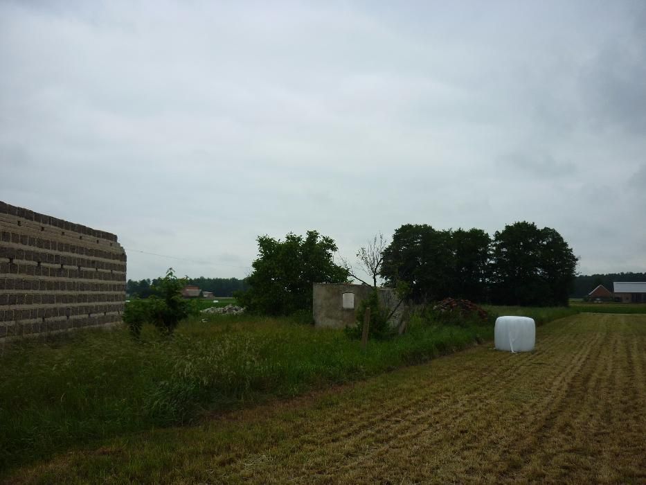 Działka budowlana Rojew. Zdjęcie 6