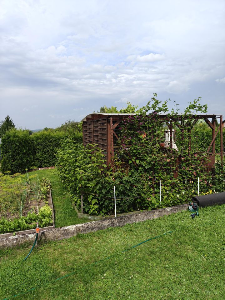 Działka rod Wasilków, Wasilkowska. Zdjęcie 21