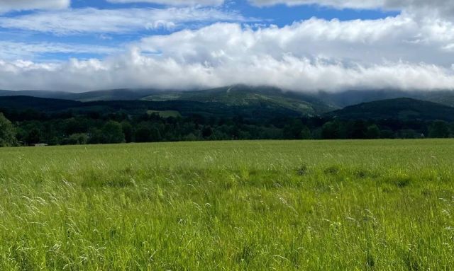 Działka budowlana Pobiedna, ul. Dworcowa. Zdjęcie 1