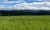 Działka budowlana Pobiedna, ul. Dworcowa