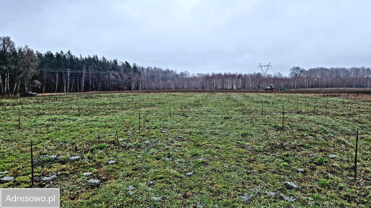 Działka rolna Żuławka. Zdjęcie 3