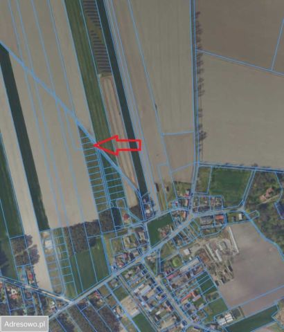 Działka budowlana Czarnotki. Zdjęcie 1