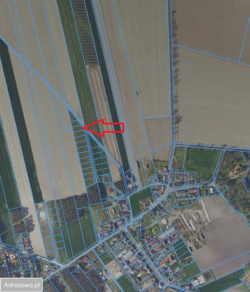 Działka budowlana Czarnotki