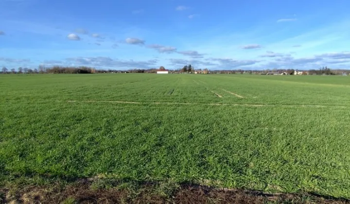 Działka budowlana Powielin