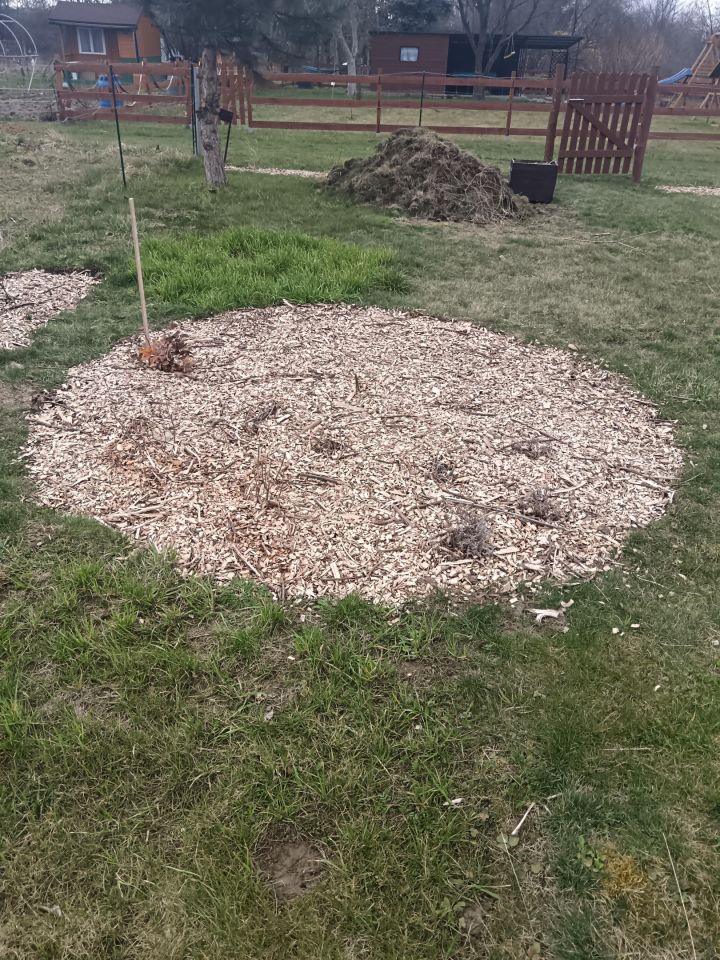 Działka rod Świdnik, ul. Brzegowa. Zdjęcie 3