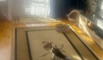 Mieszkanie 2-pokojowe Słupsk, ul. prof. Stanisława Herbsta