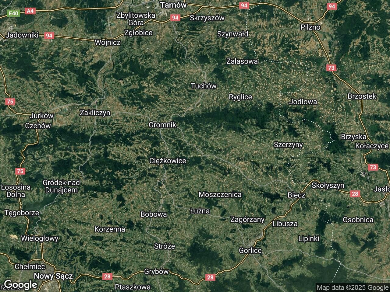 Lokal Rzepiennik Strzyżewski