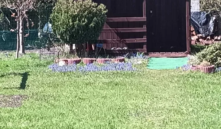 Działka rod Jaworzno Stara Huta