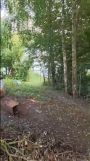 Działka rolno-budowlana Przyrowa. Zdjęcie 1