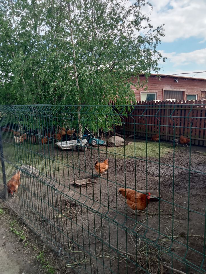 budynek wielorodzinny, 8 pokoi Krypno Kościelne. Zdjęcie 5