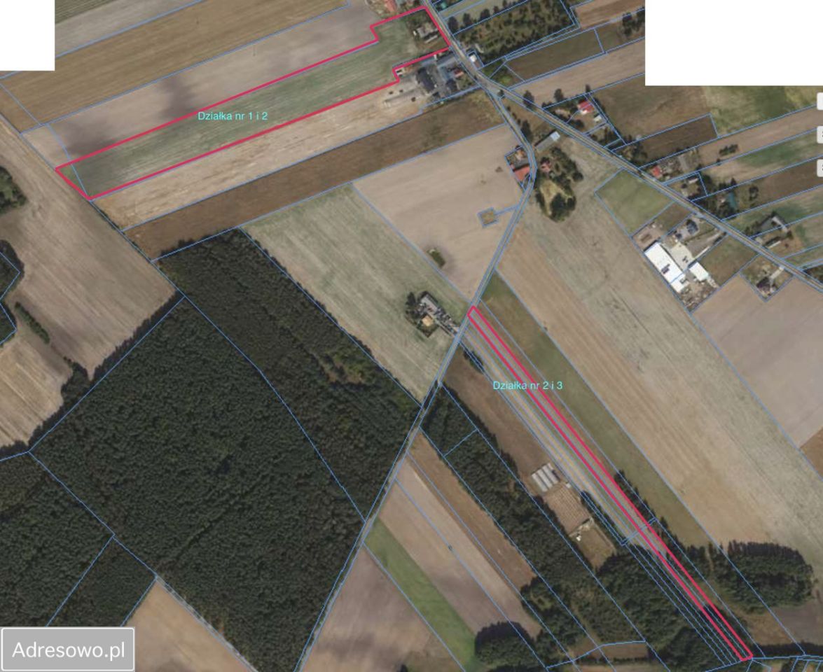 siedlisko Zalesie. Zdjęcie 2