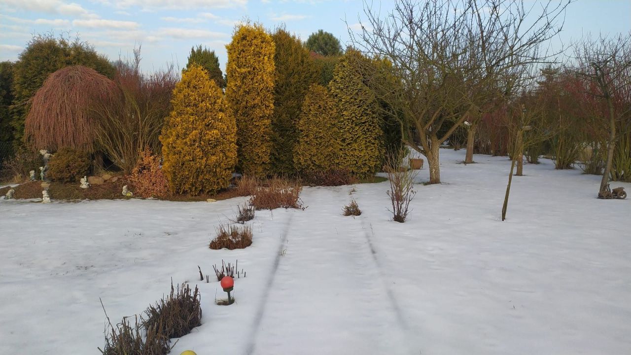 Działka rod Gliwice Stare Gliwice. Zdjęcie 5