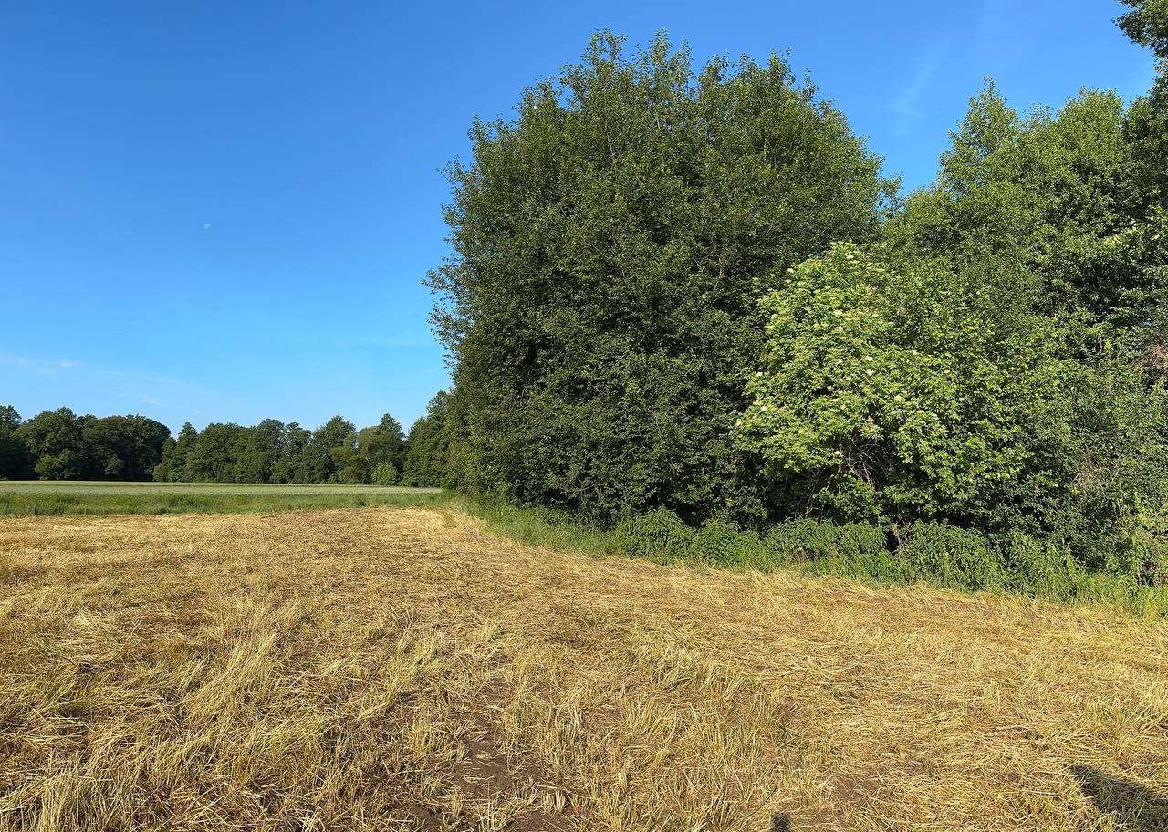 Działka rolna Rudawica. Zdjęcie 3