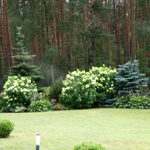 dworek, 4 pokoje Kowalewo, ul. Leśna. Zdjęcie 26