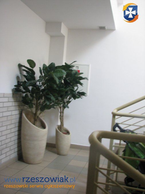 Mieszkanie 3-pokojowe Rzeszów Śródmieście, ul. Szpitalna