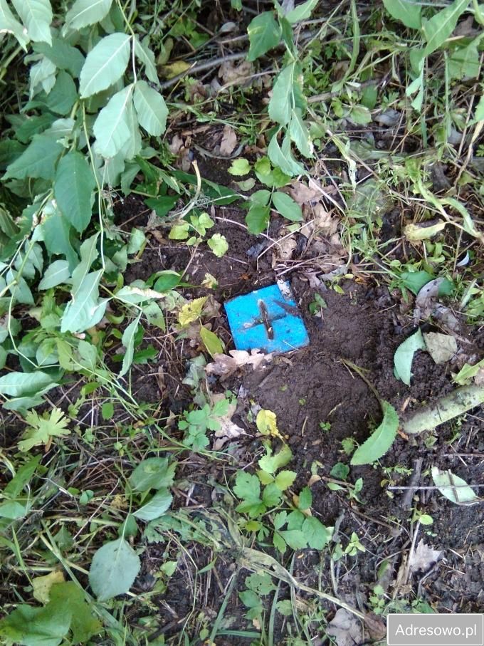 Działka rolno-budowlana Model. Zdjęcie 5